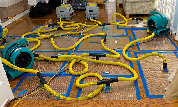 Professional Crawl Space Water Removal technician working in Fruitvale, TX